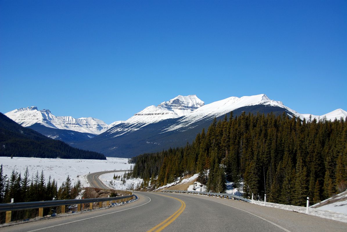 09 The Castelets, Mount Saskatchewan From Graveyard Flats On Icefields Parkway